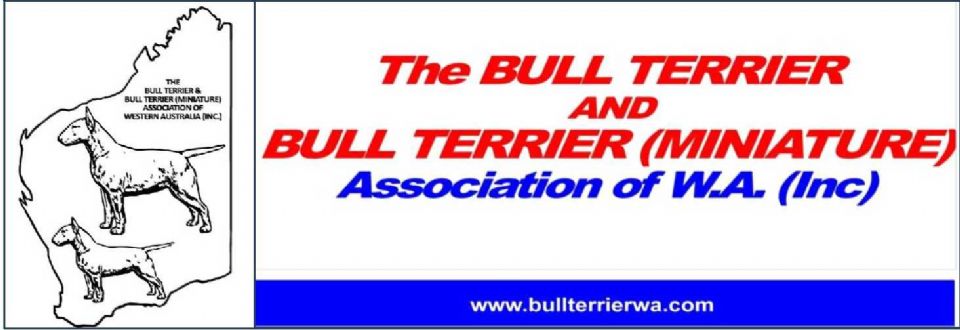 Bull Terrier and Bull Terrier (Miniature) Association Of W.A.